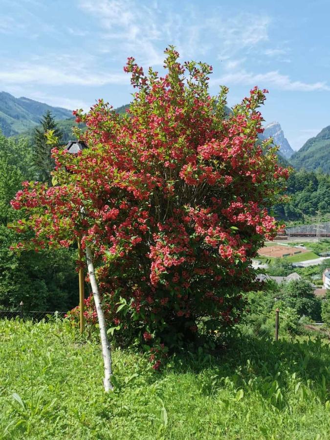 Ferienwohnung Im Nationalpark Gesaeuse Hieflau Buitenkant foto