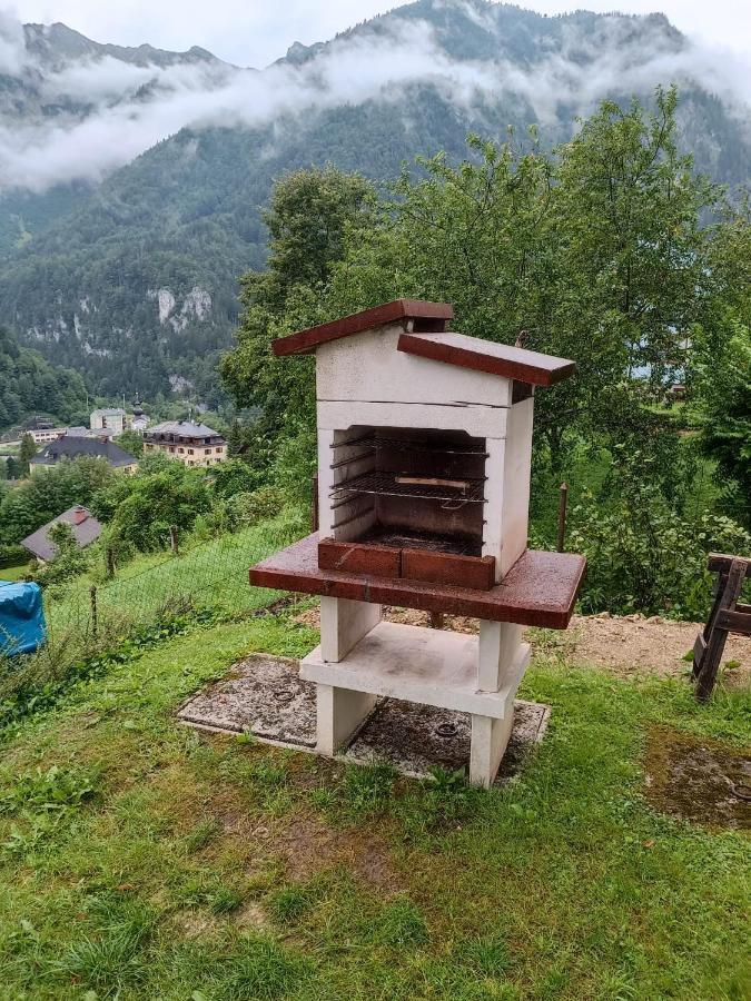 Ferienwohnung Im Nationalpark Gesaeuse Hieflau Buitenkant foto
